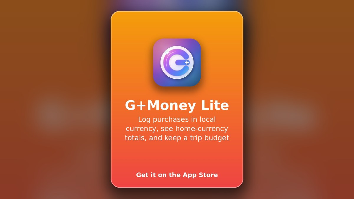 G+Money Lite iOS app guide preview